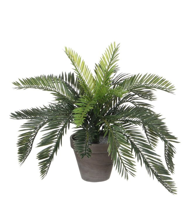 Mica Decorations Cycas Palm Kunstplant in Bloempot Stan - H37 x Ø44 cm - Groen