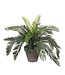 Mica Decorations Cycas Palm Kunstplant in Bloempot Stan - H37 x Ø44 cm - Groen