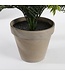 Mica Decorations Cycas Palm Kunstplant in Bloempot Stan - H37 x Ø44 cm - Groen