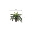 Mica Decorations Cycas Palm Kunstplant in Bloempot Stan - H37 x Ø44 cm - Groen