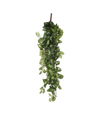 Mica Decorations Fittonia Kunst Hangplant - L15 x B30 x H80 cm - Groen
