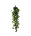 Mica Decorations Fittonia Kunst Hangplant - L15 x B30 x H80 cm - Groen