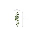 Mica Decorations Monstera Kunstplant Slinger - L115 x B34 x H10 cm - Groen