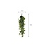 Mica Decorations Fittonia Kunst Hangplant - L15 x B30 x H80 cm - Groen