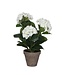 Mica Decorations Hortensia Kunstplant in Bloempot Stan - H40 x Ø35 cm - Wit
