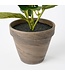 Mica Decorations Hortensia Kunstplant in Bloempot Stan - H40 x Ø35 cm - Wit