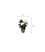 Mica Decorations Hortensia Kunstplant in Bloempot Stan - H40 x Ø35 cm - Wit