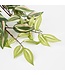 Mica Decorations Tradescantia Kunst Hangplant in Bloempot Stan - H45 x Ø25 cm - Groen