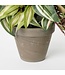 Mica Decorations Tradescantia Kunst Hangplant in Bloempot Stan - H45 x Ø25 cm - Groen