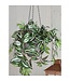 Mica Decorations Tradescantia Kunst Hangplant in Bloempot Stan - H45 x Ø25 cm - Groen