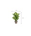 Mica Decorations Dieffenbachia Kunstplant in Bloempot Stan - H40 x Ø30 cm - Groen