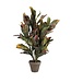 Mica Decorations Croton Kunstplant in Bloempot Stan - H73 x Ø40 cm - Bont