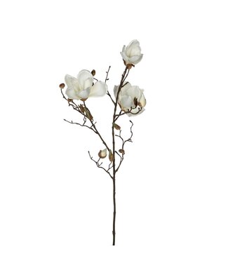 Mica Decorations Magnolia Kunstbloem - H88 cm - Wit