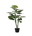 Mica Decorations Taro Kunstplant - H100 x Ø70 cm - Groen
