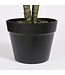 Mica Decorations Taro Kunstplant - H100 x Ø70 cm - Groen