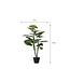 Mica Decorations Taro Kunstplant - H100 x Ø70 cm - Groen