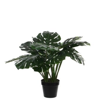 Mica Decorations Monstera Kunstplant - H60 x Ø80 cm - Groen