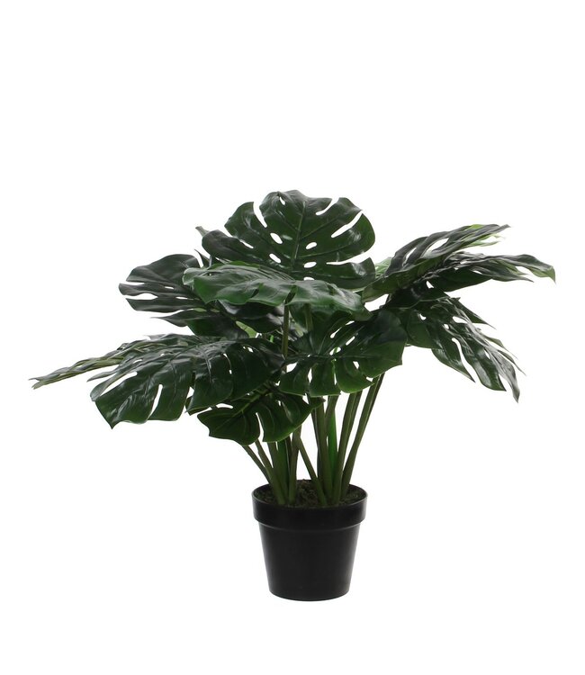 Mica Decorations Monstera Kunstplant - H60 x Ø80 cm - Groen
