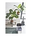 Mica Decorations Taro Kunstplant - H100 x Ø70 cm - Groen