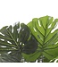 Mica Decorations Monstera Kunstplant - H60 x Ø80 cm - Groen