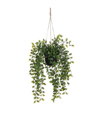 Mica Decorations Ficus Kunst Hangplant in Pot - H46 x Ø20 cm - Groen