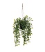 Mica Decorations Ficus Kunst Hangplant in Pot - H46 x Ø20 cm - Groen
