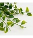 Mica Decorations Ficus Kunst Hangplant in Pot - H46 x Ø20 cm - Groen