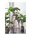 Mica Decorations Monstera Kunstplant - H60 x Ø80 cm - Groen