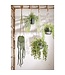 Mica Decorations Ficus Kunst Hangplant in Pot - H46 x Ø20 cm - Groen
