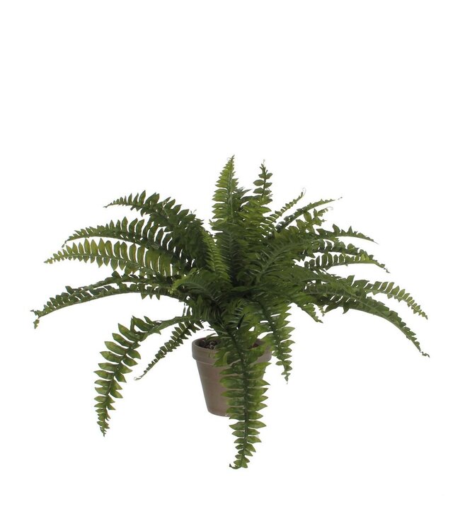 Mica Decorations Varen Kunstplant in Bloempot Stan - H40 x Ø70 cm - Groen