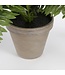 Mica Decorations Varen Kunstplant in Bloempot Stan - H40 x Ø70 cm - Groen