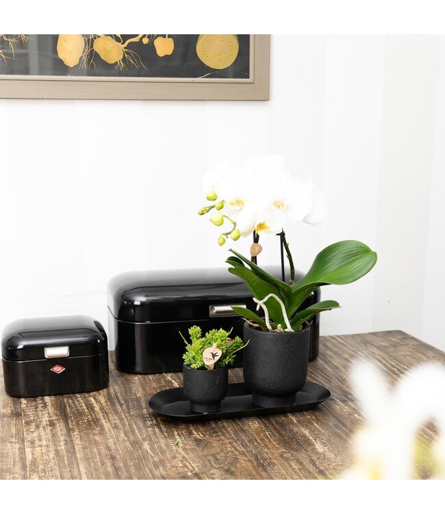 Kolibri Company Kolibri Home | Plate oval - Ovale dienblad Ø30cm - Black