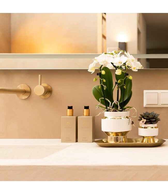 Kolibri Company Kolibri Home | Plate oval - Ovale dienblad Ø30cm - Gold