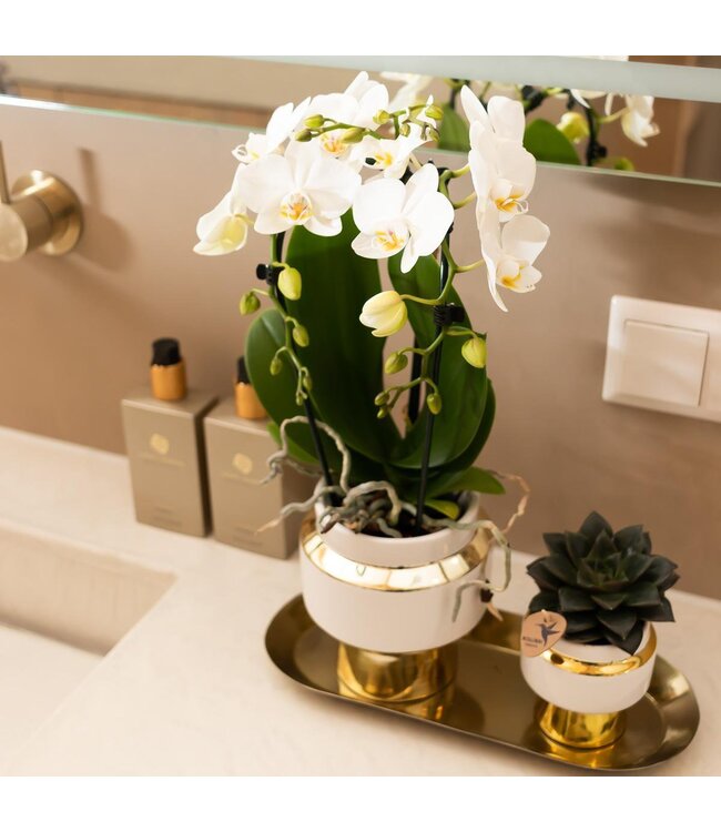 Kolibri Company Kolibri Home | Plate oval - Ovale dienblad Ø30cm - Gold