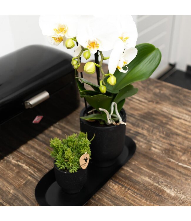 Kolibri Company Kolibri Home | Plate oval - Ovale dienblad Ø30cm - Black