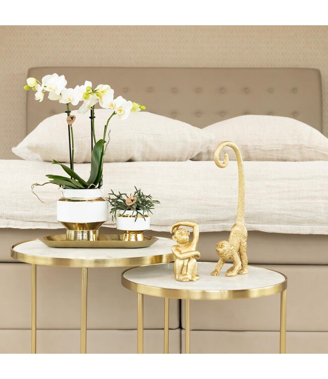 Kolibri Company Kolibri Home | Plate oval - Ovale dienblad Ø30cm - Gold