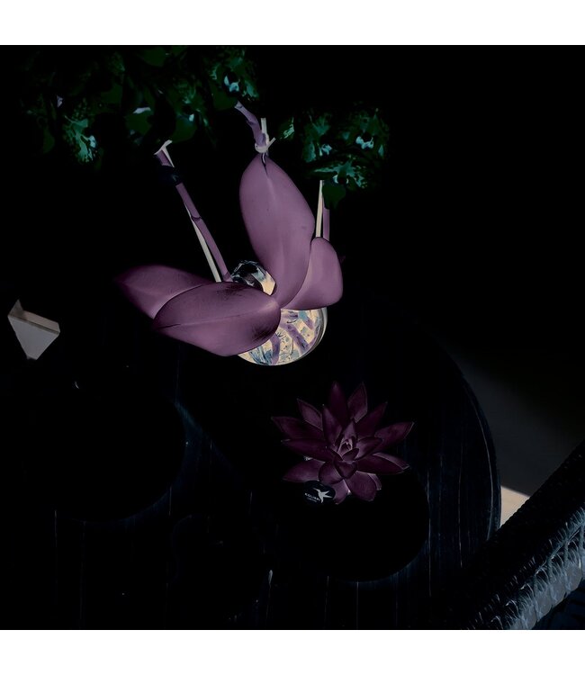 Kolibri Company Kolibri Home | Plate oval - Ovale dienblad Ø30cm - White