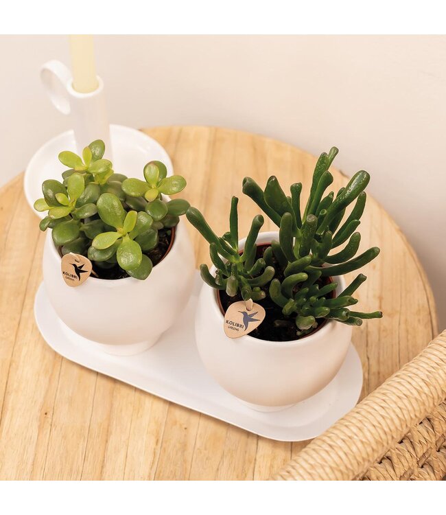 Kolibri Company Kolibri Home | Plate oval - Ovale dienblad Ø30cm - White