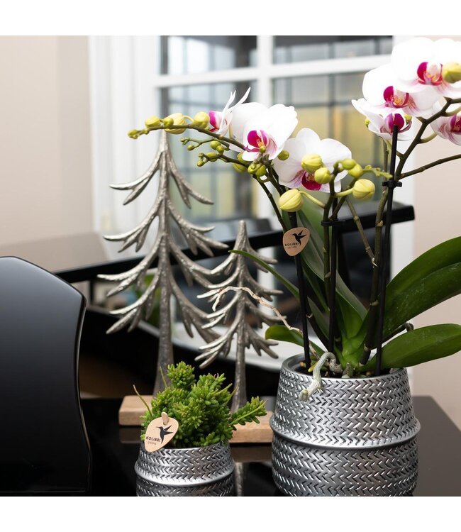 Kolibri Company Kolibri Home | Groove bloempot - Gouden keramieken sierpot - Ø6cm