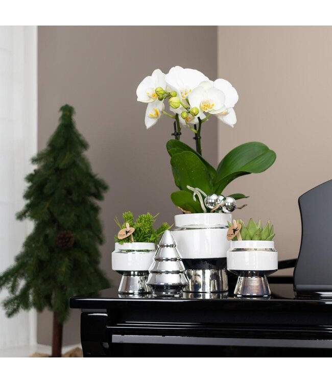 Kolibri Company Kolibri Home | Le Chic bloempot - Witte keramieken sierpot met zilveren details - Ø9cm