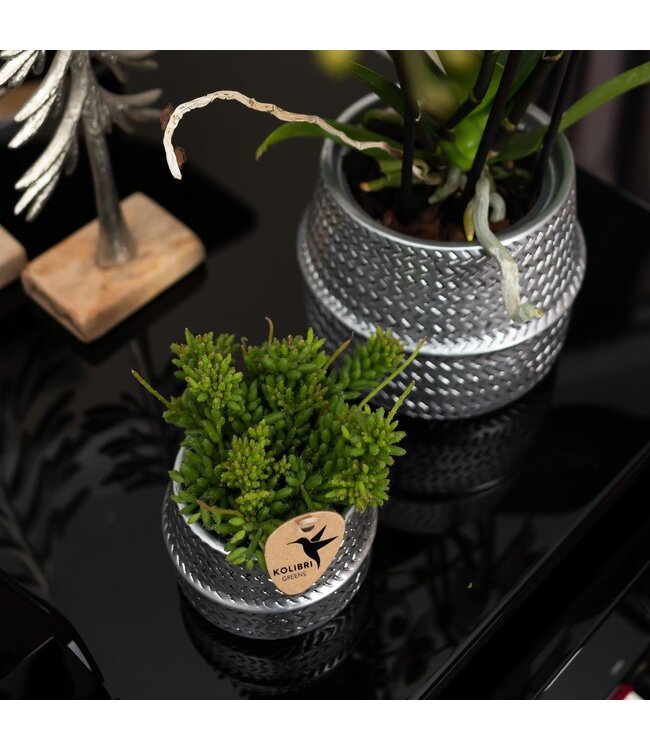 Kolibri Company Kolibri Home | Groove bloempot - Gouden keramieken sierpot - Ø6cm