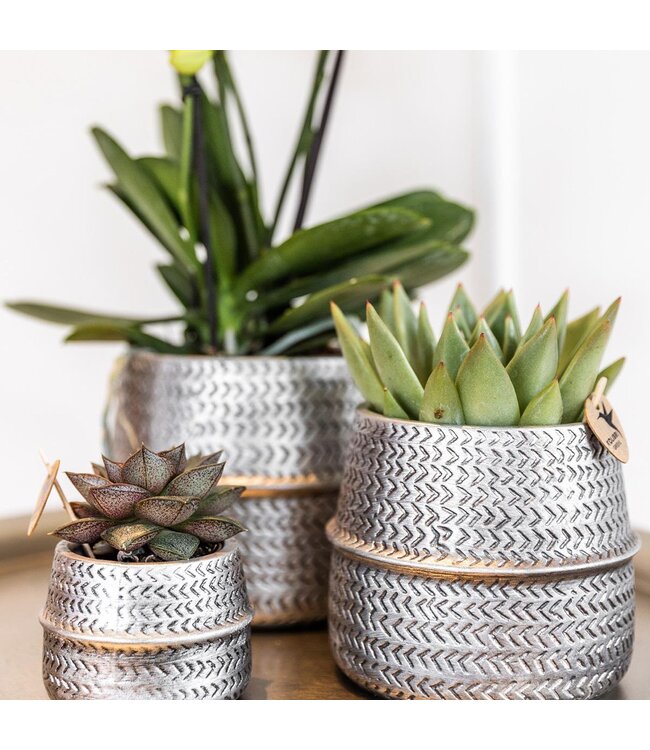 Kolibri Company Kolibri Home | Groove bloempot - Gouden keramieken sierpot - Ø6cm