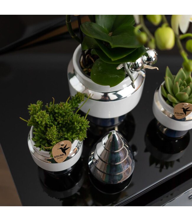 Kolibri Company Kolibri Home | Le Chic bloempot - Witte keramieken sierpot met zilveren details - Ø9cm