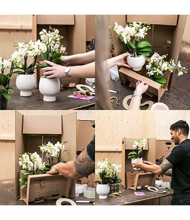 Kolibri Company Kolibri Home | Groove bloempot - Gouden keramieken sierpot - Ø6cm