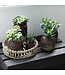 Kolibri Company Kolibri Home | Decoratieschaal - Rond Willow dienblad Ø30cm