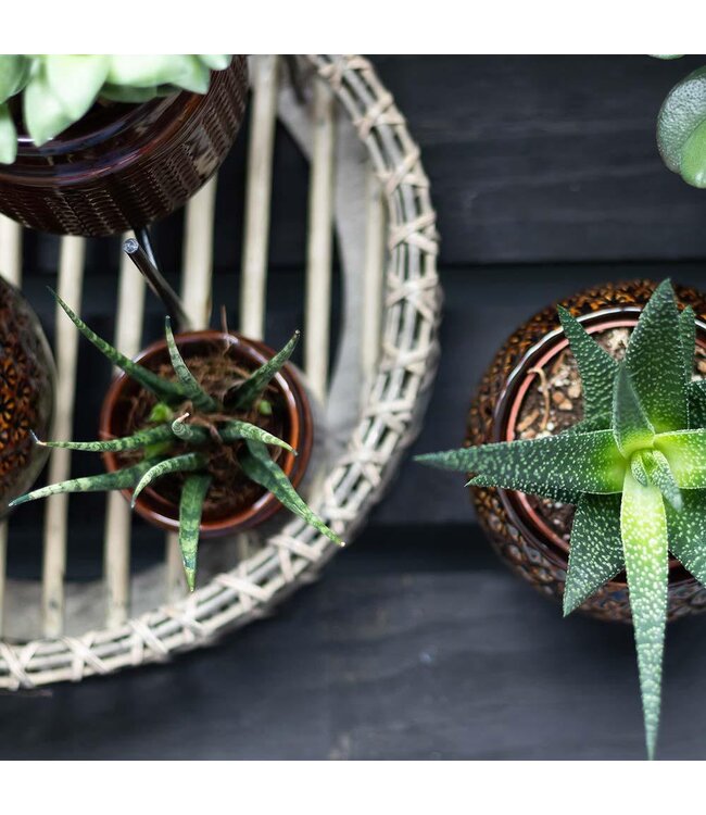 Kolibri Company Kolibri Home | Decoratieschaal - Rond Willow dienblad Ø30cm