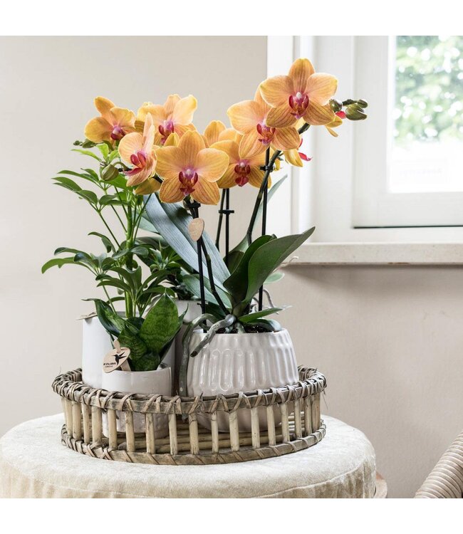 Kolibri Company Kolibri Home | Decoratieschaal - Rond Willow dienblad Ø30cm