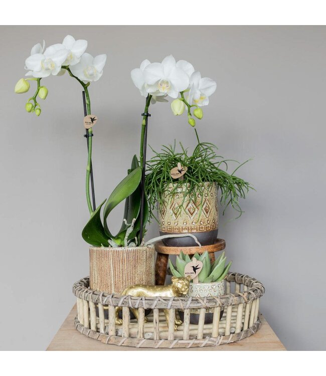 Kolibri Company Kolibri Home | Decoratieschaal - Rond Willow dienblad Ø30cm