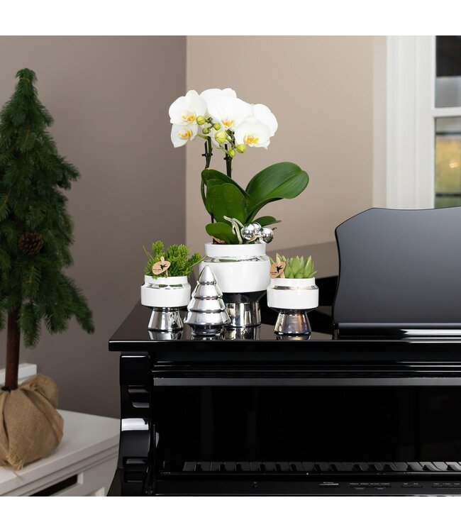 Kolibri Company Kolibri Home | Le Chic bloempot - Witte keramieken sierpot met zilveren details - Ø6cm