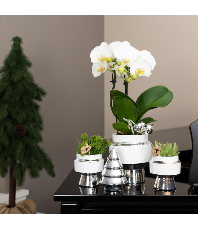 Kolibri Company Kolibri Home | Le Chic bloempot - Witte keramieken sierpot met zilveren details - Ø6cm